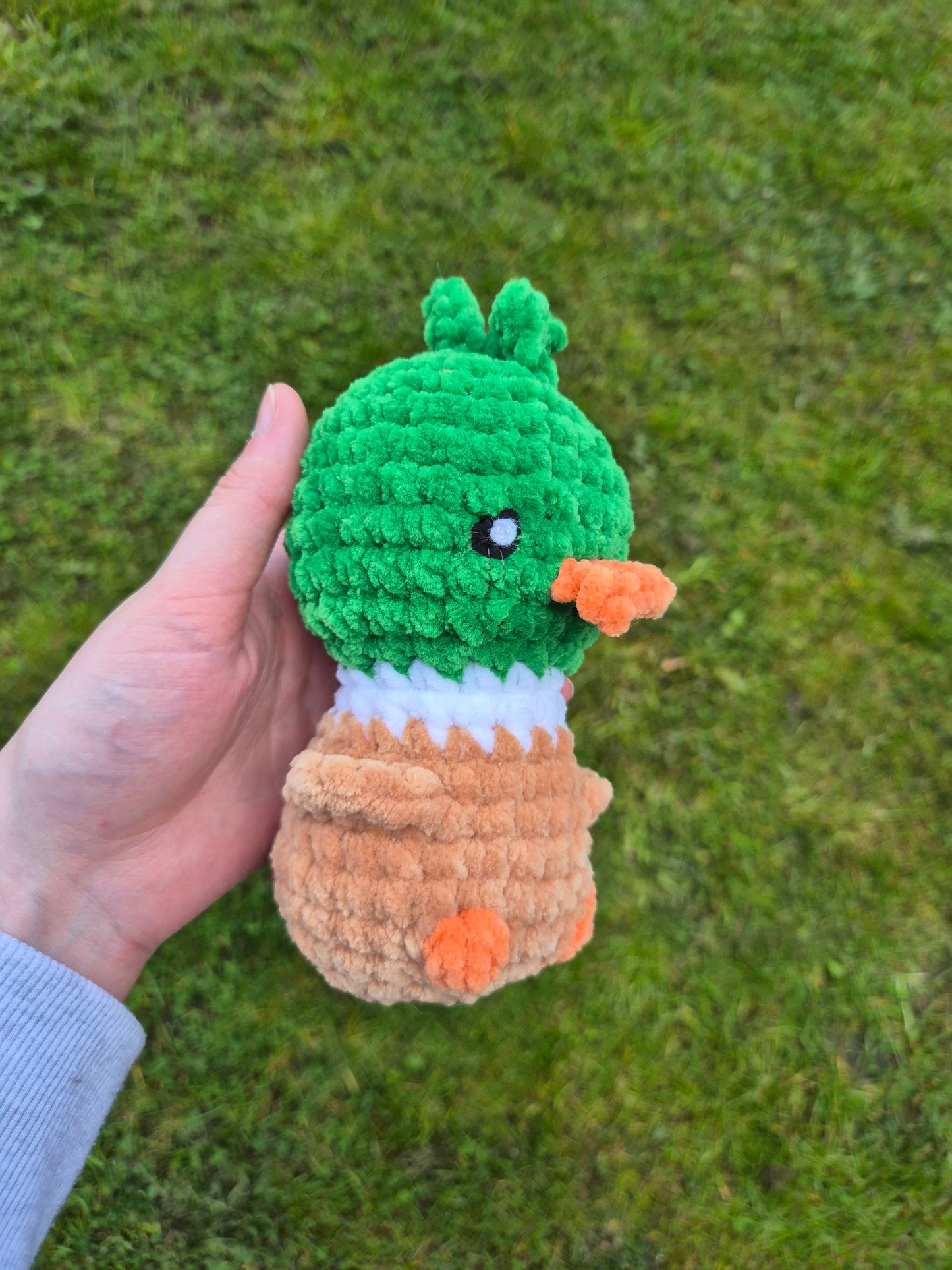 canard
