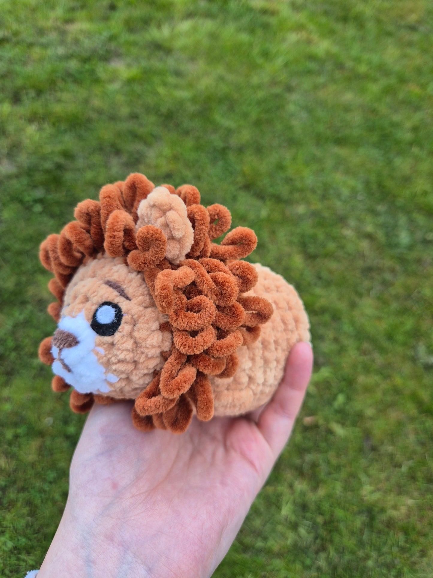 lion