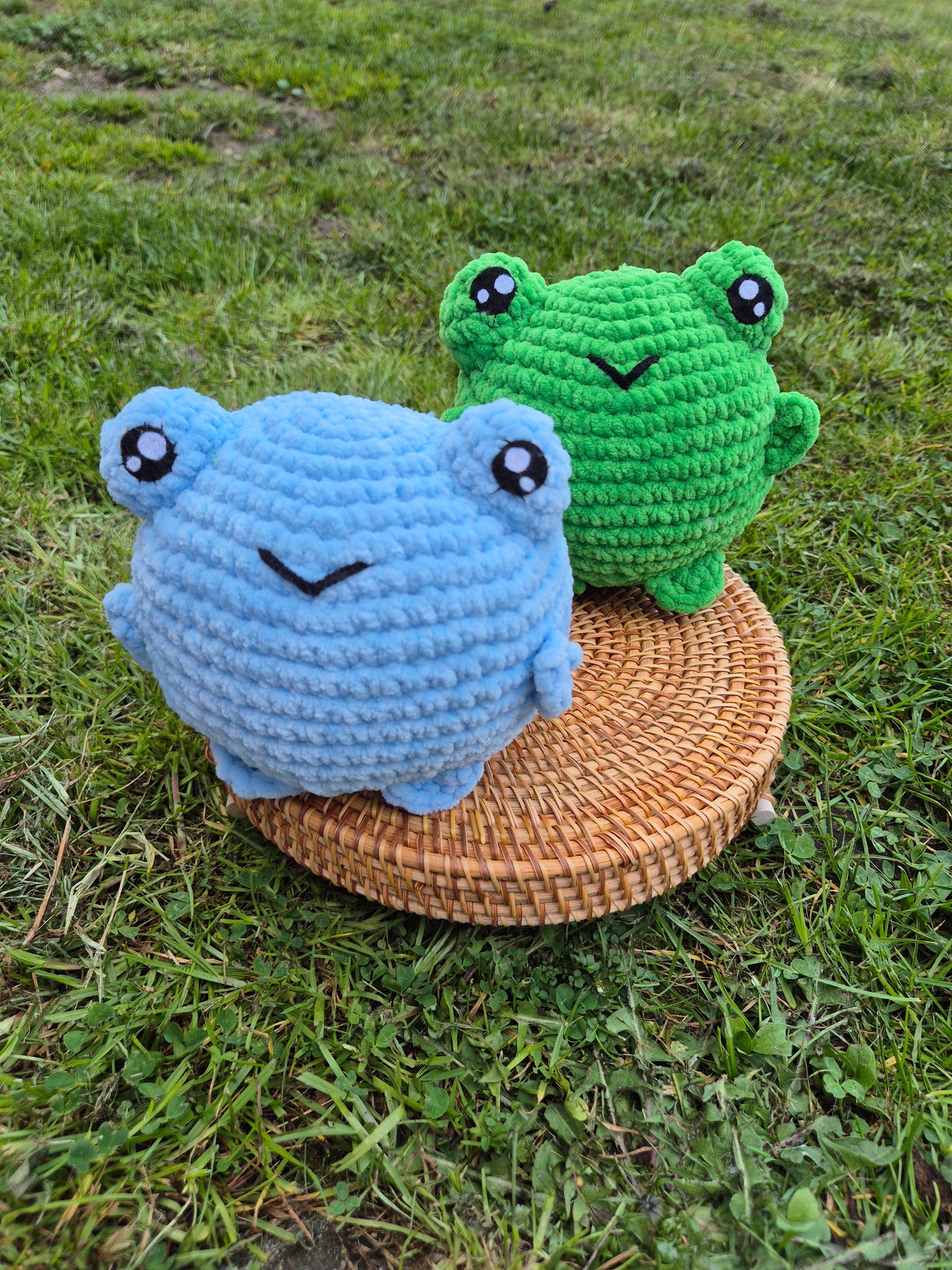 grenouilles