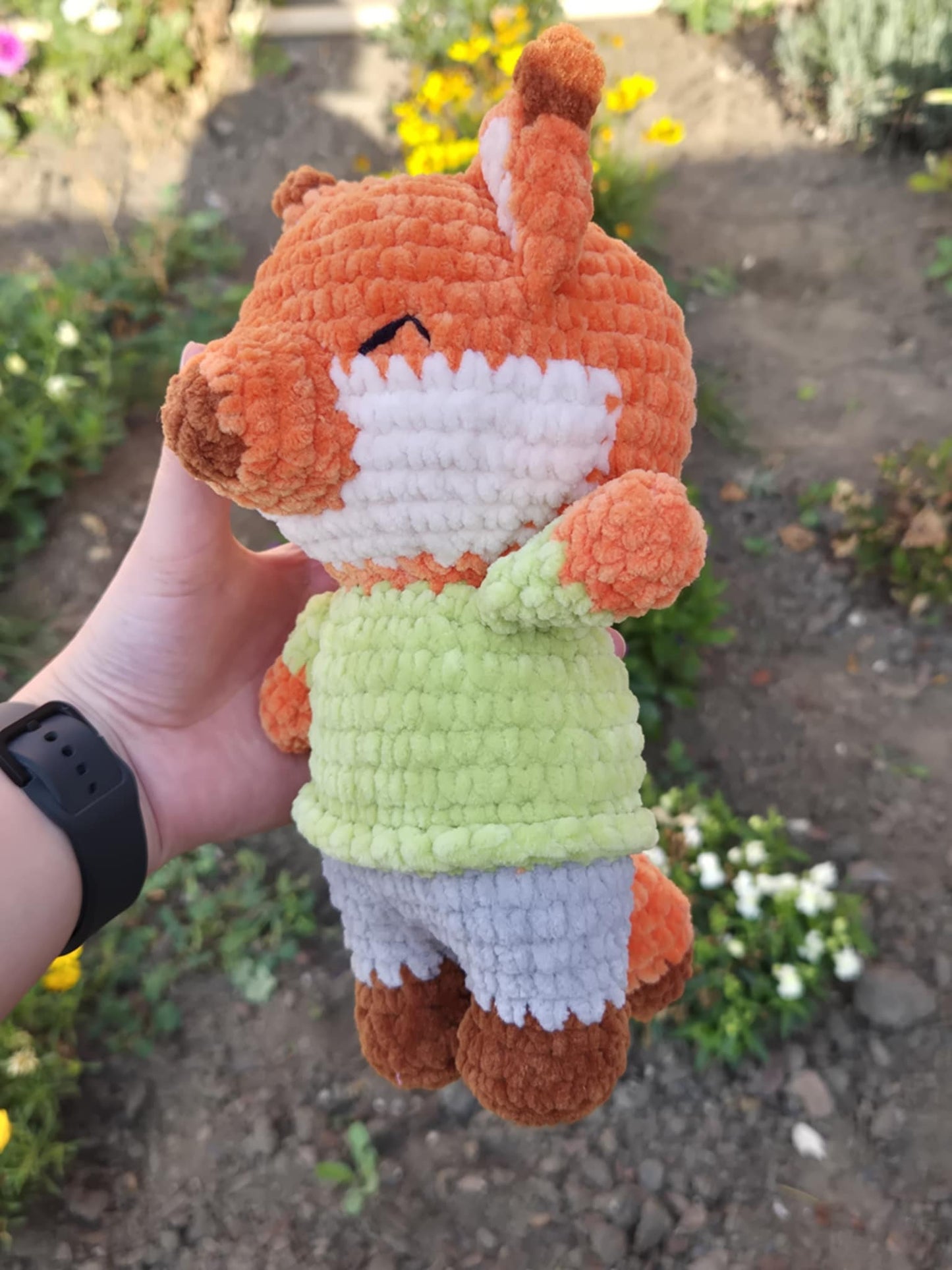 Renard 🦊