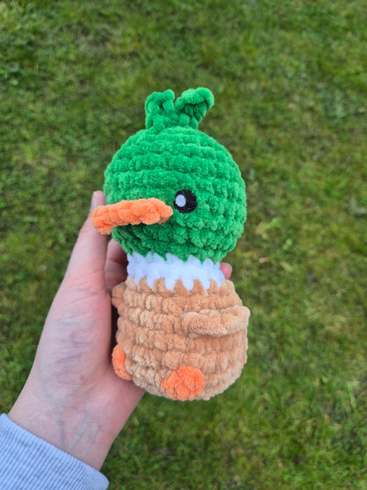 canard