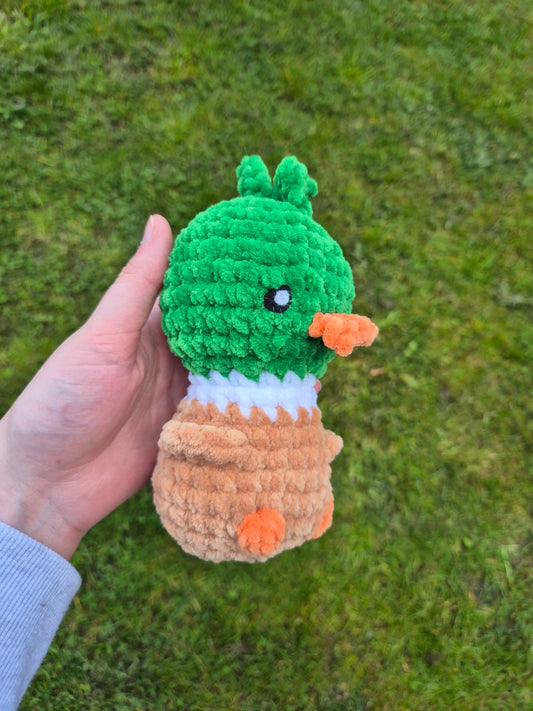 canard