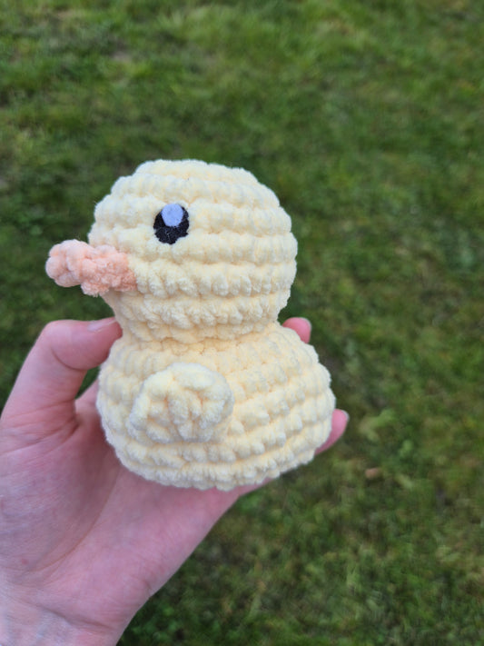 canard