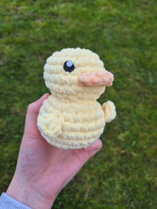 canard
