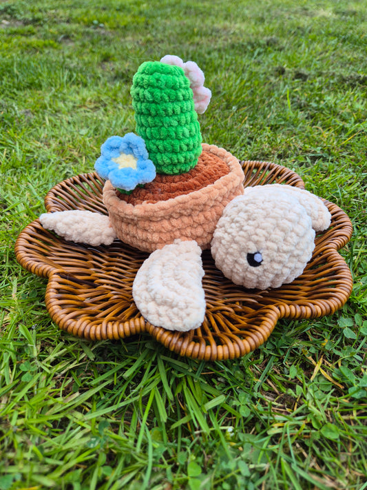 tortue cactus