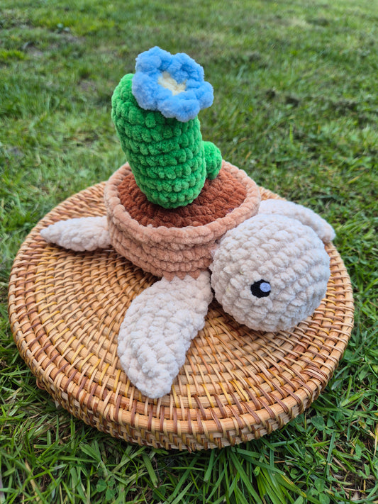 tortue cactus